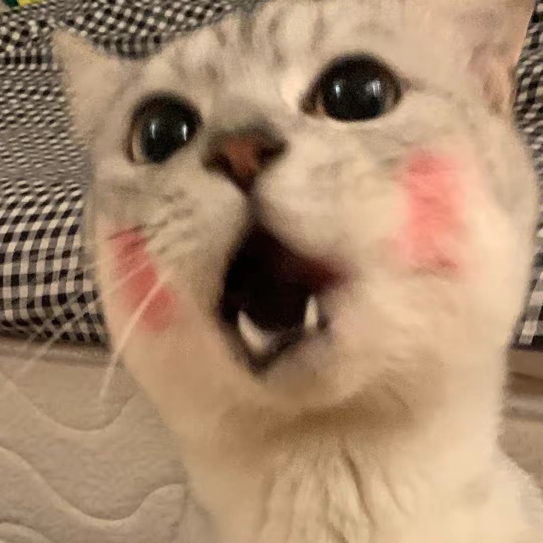 孙奕丽头像