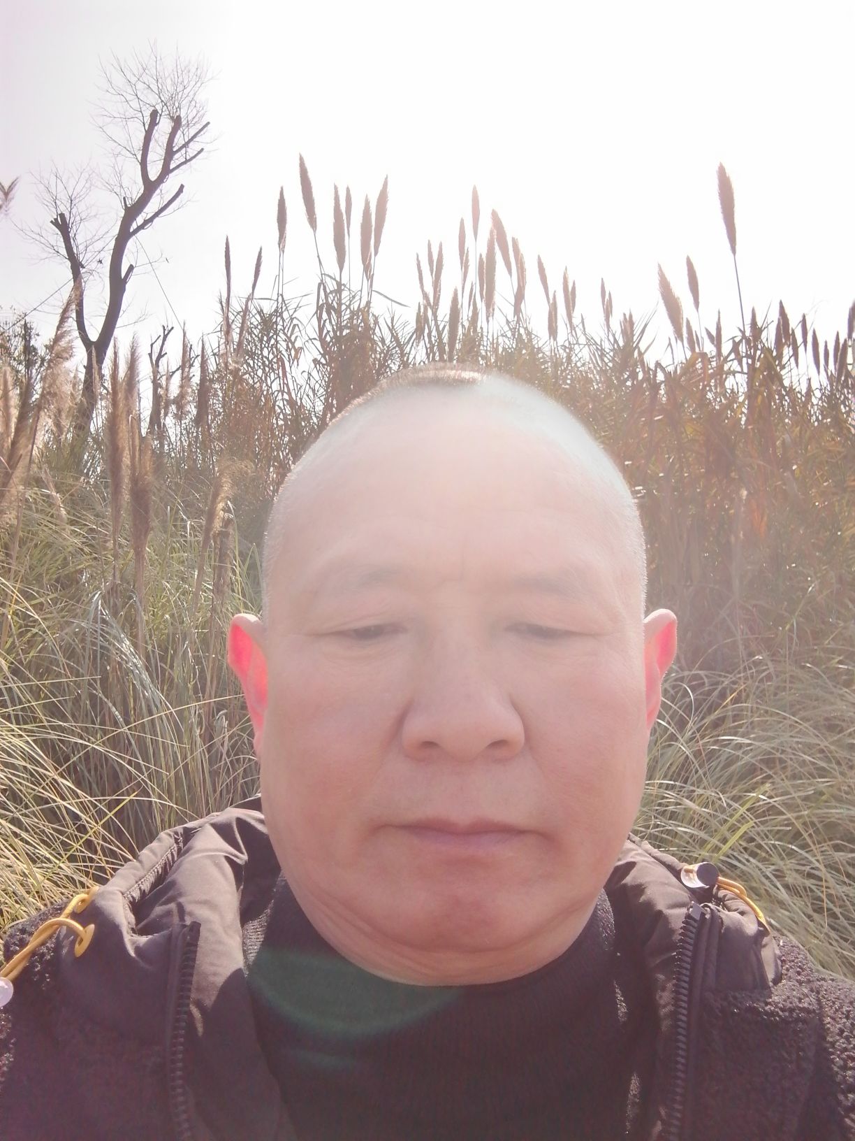 胡建头像