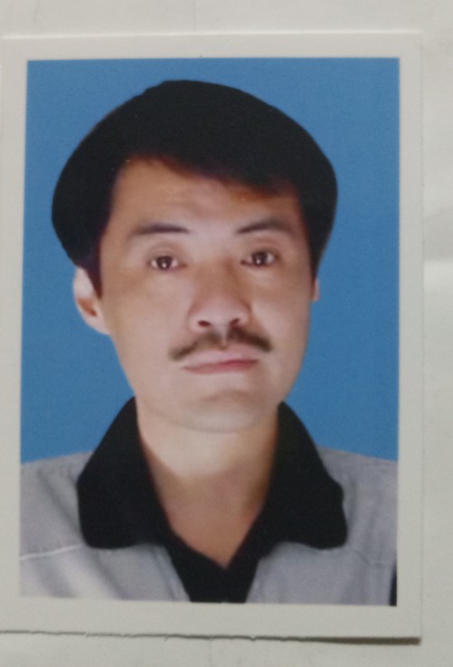 许红树头像
