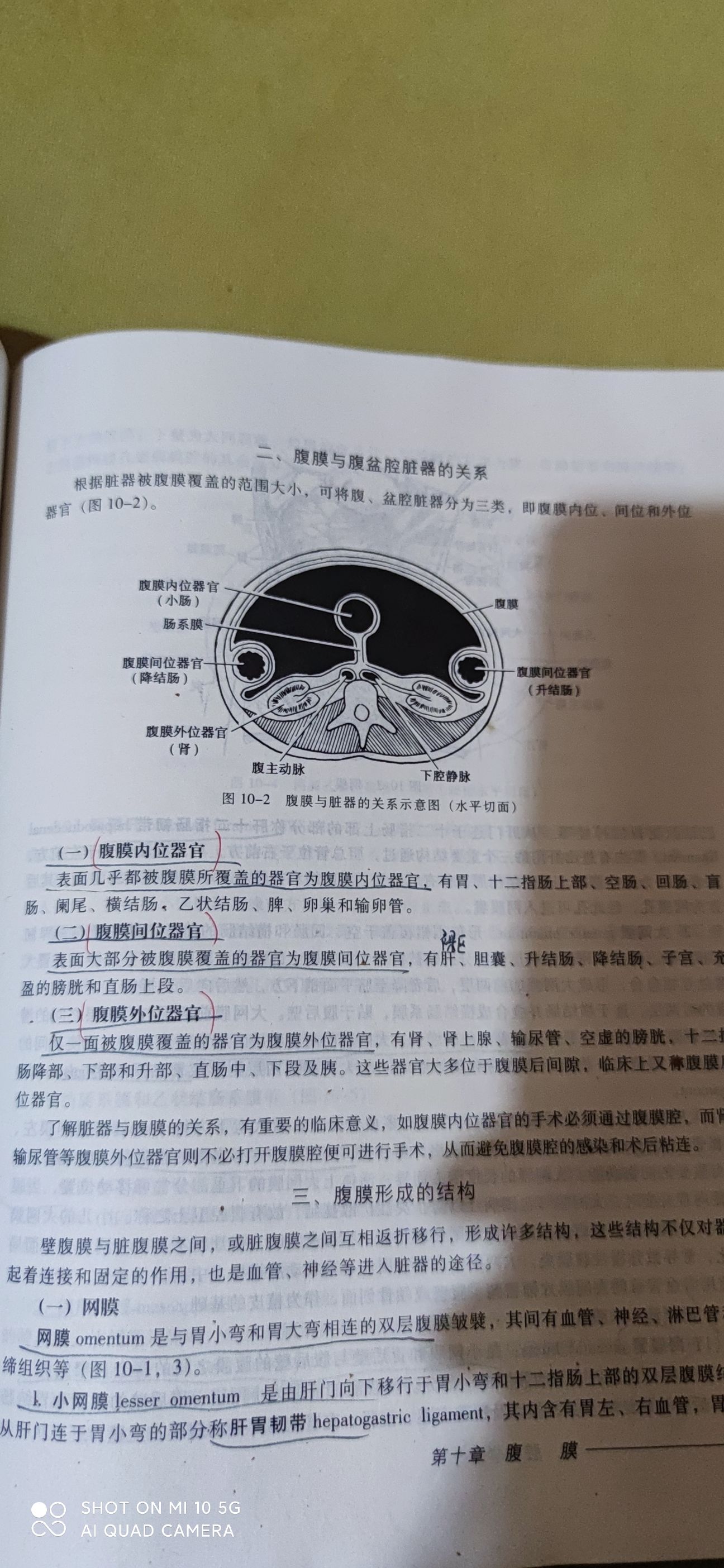 许甜头像