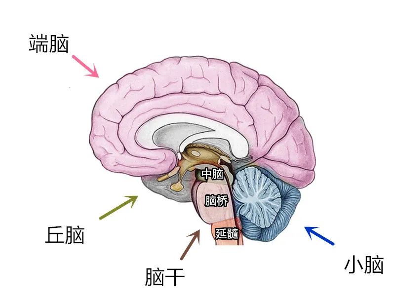 褚衍强头像