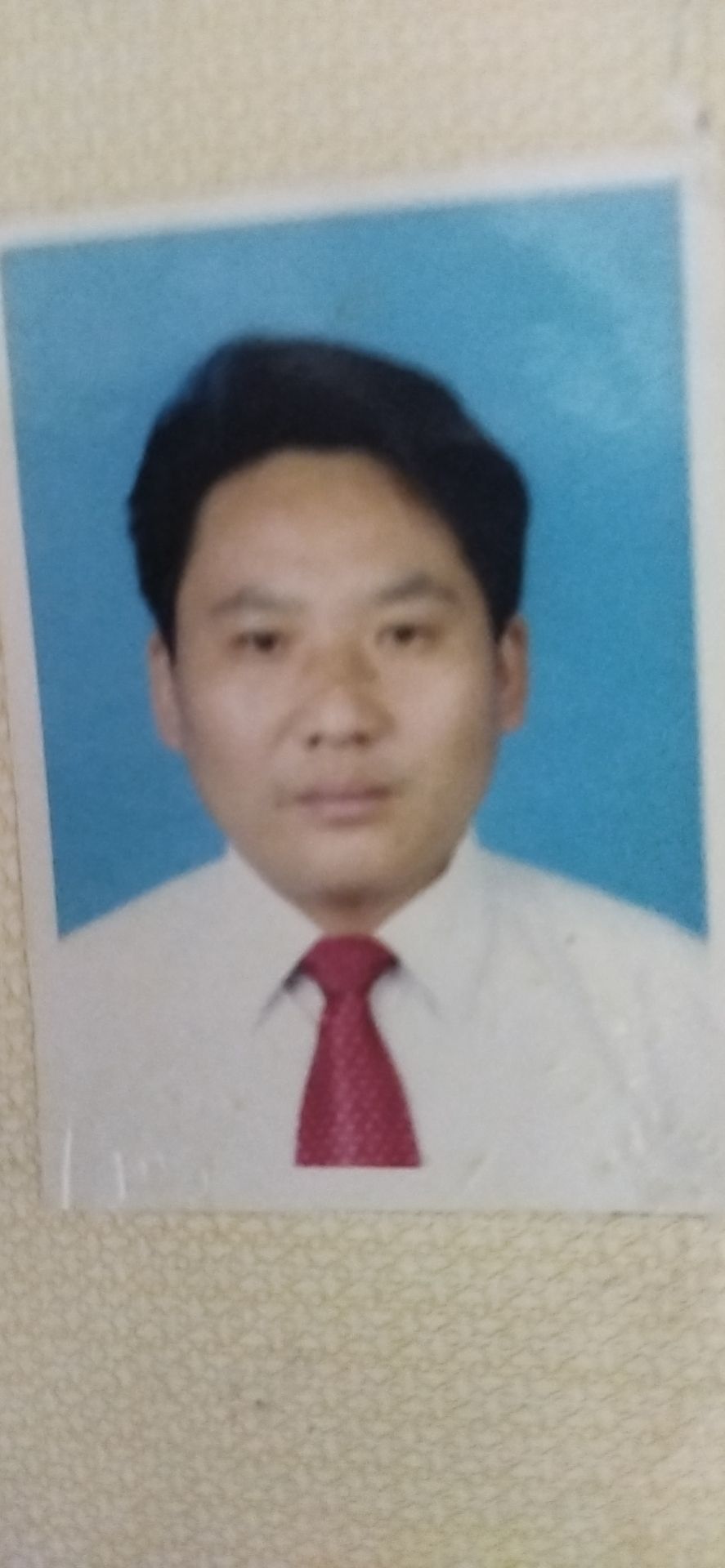 朱振超头像