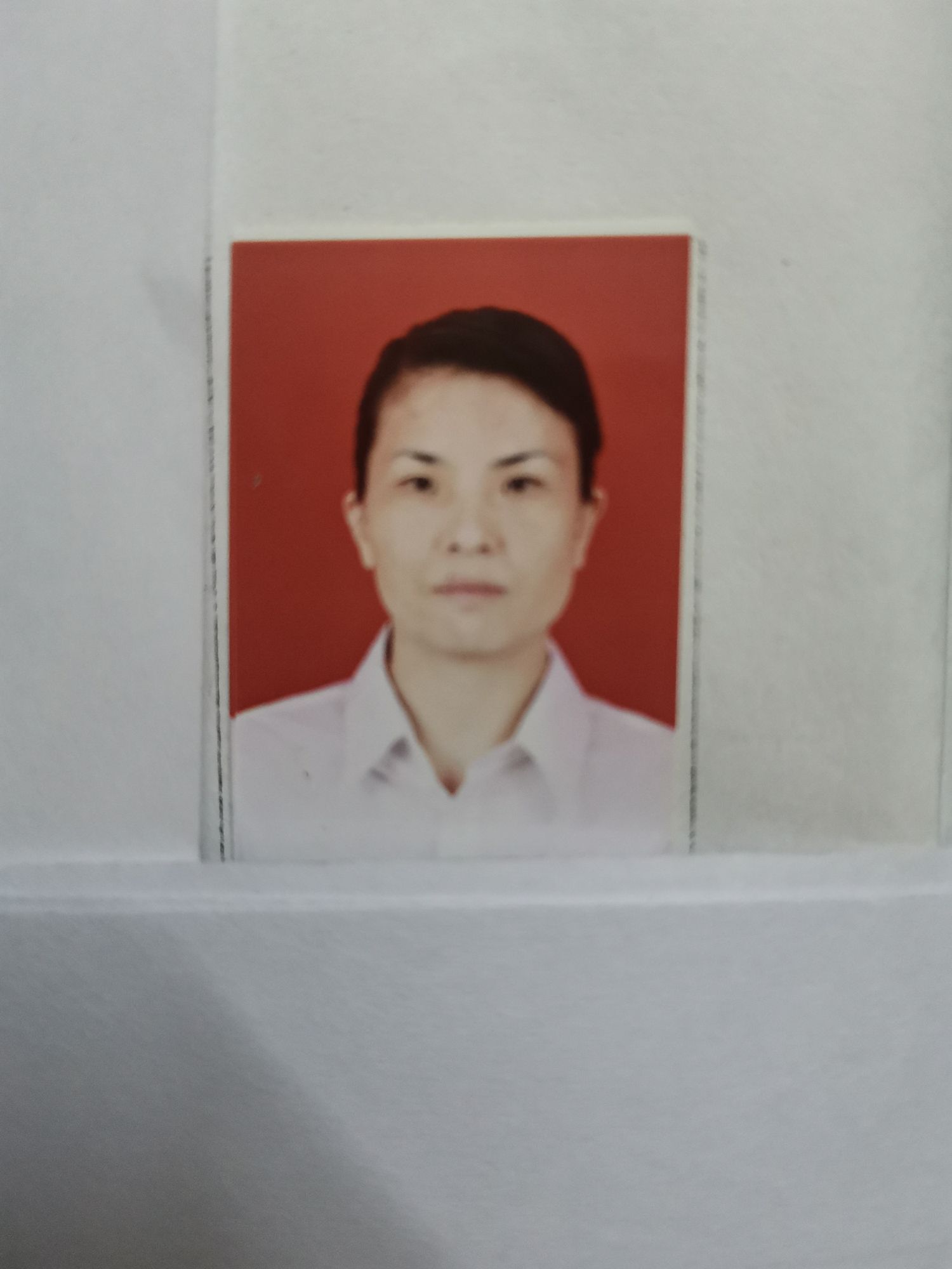 黄金秀头像