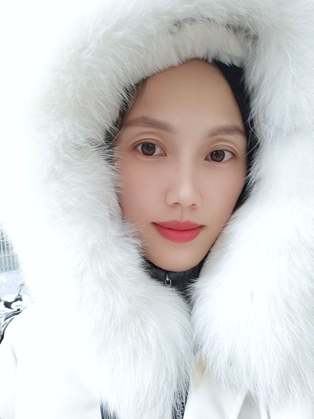 李娟头像