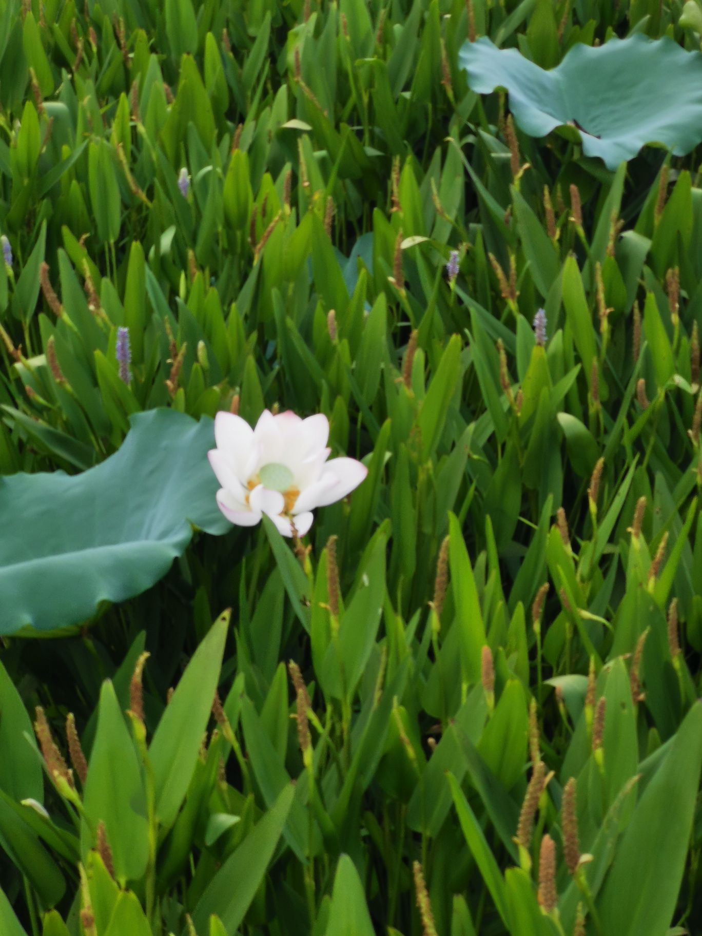 李明穗头像