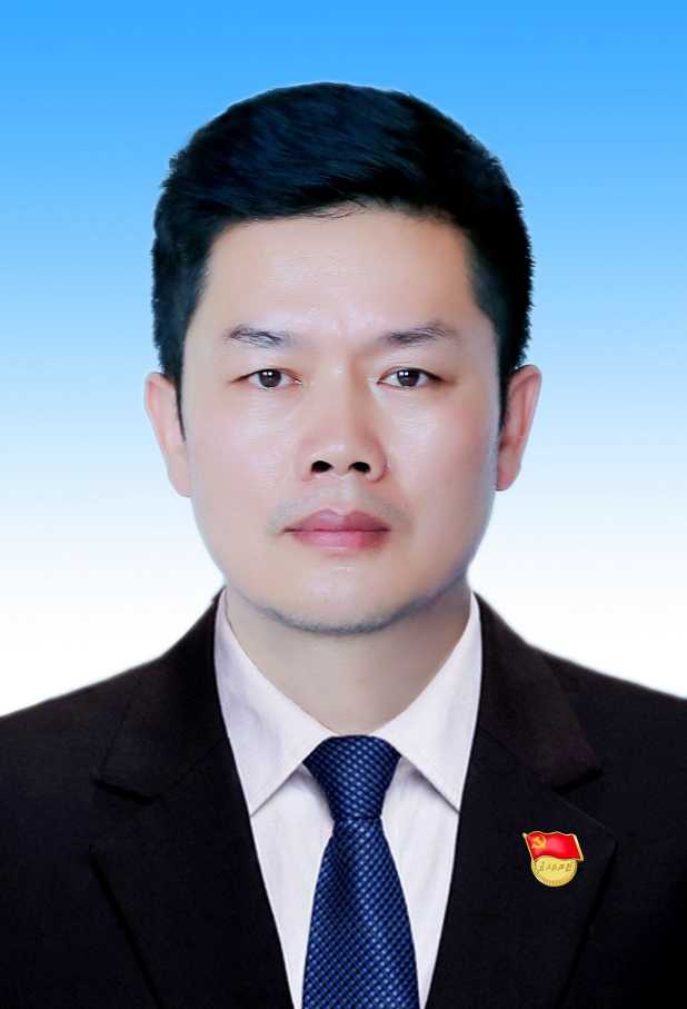 杨新云头像