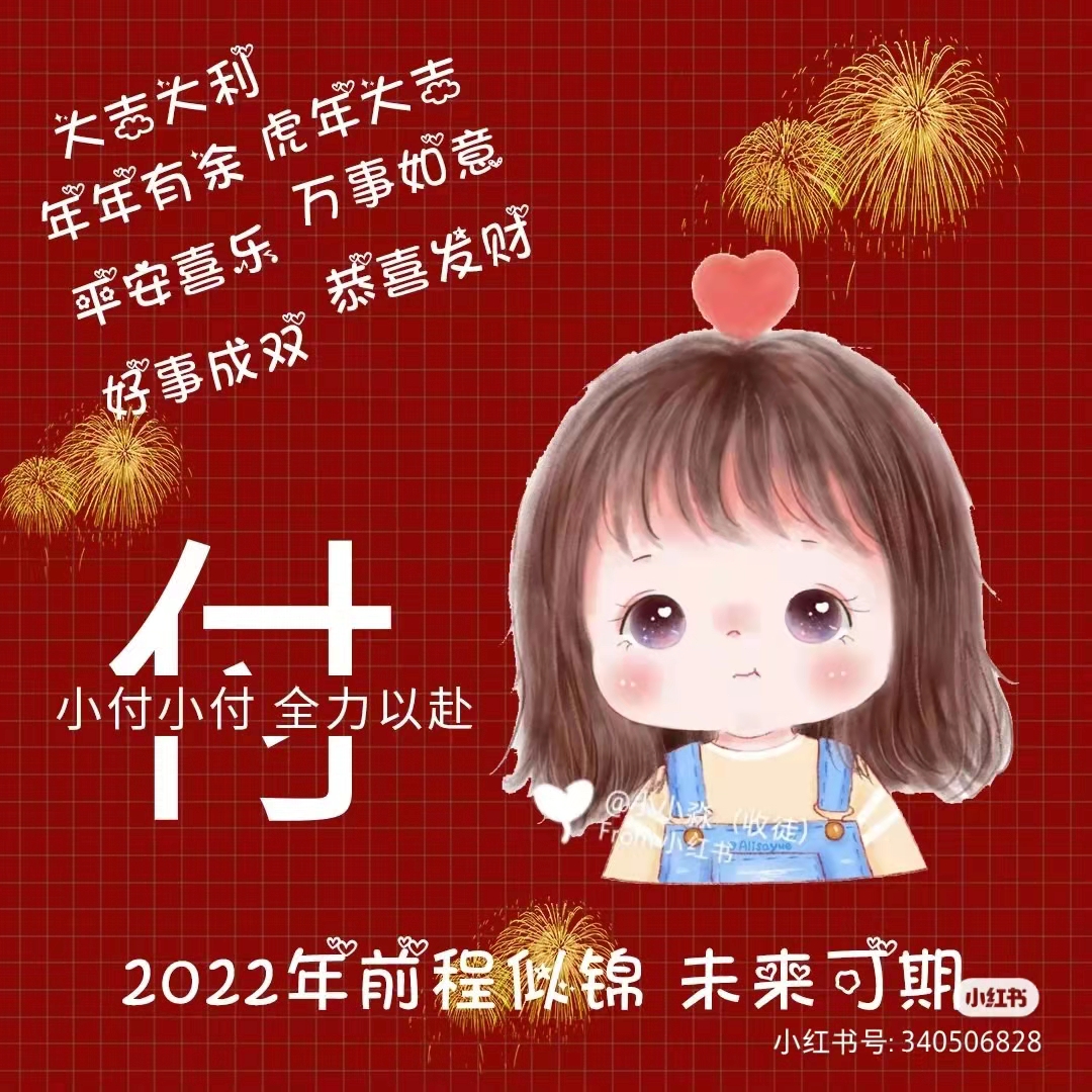 付琳头像