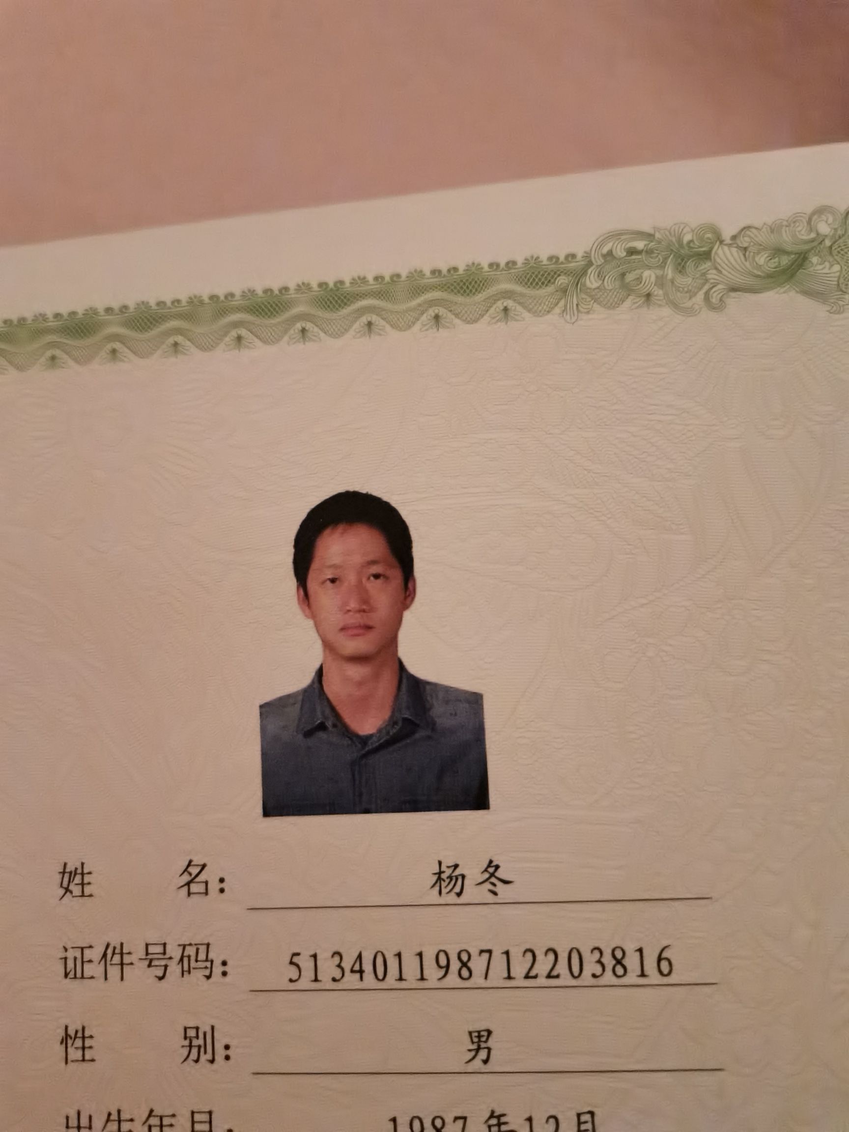 杨冬头像
