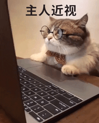 崔庆凤头像