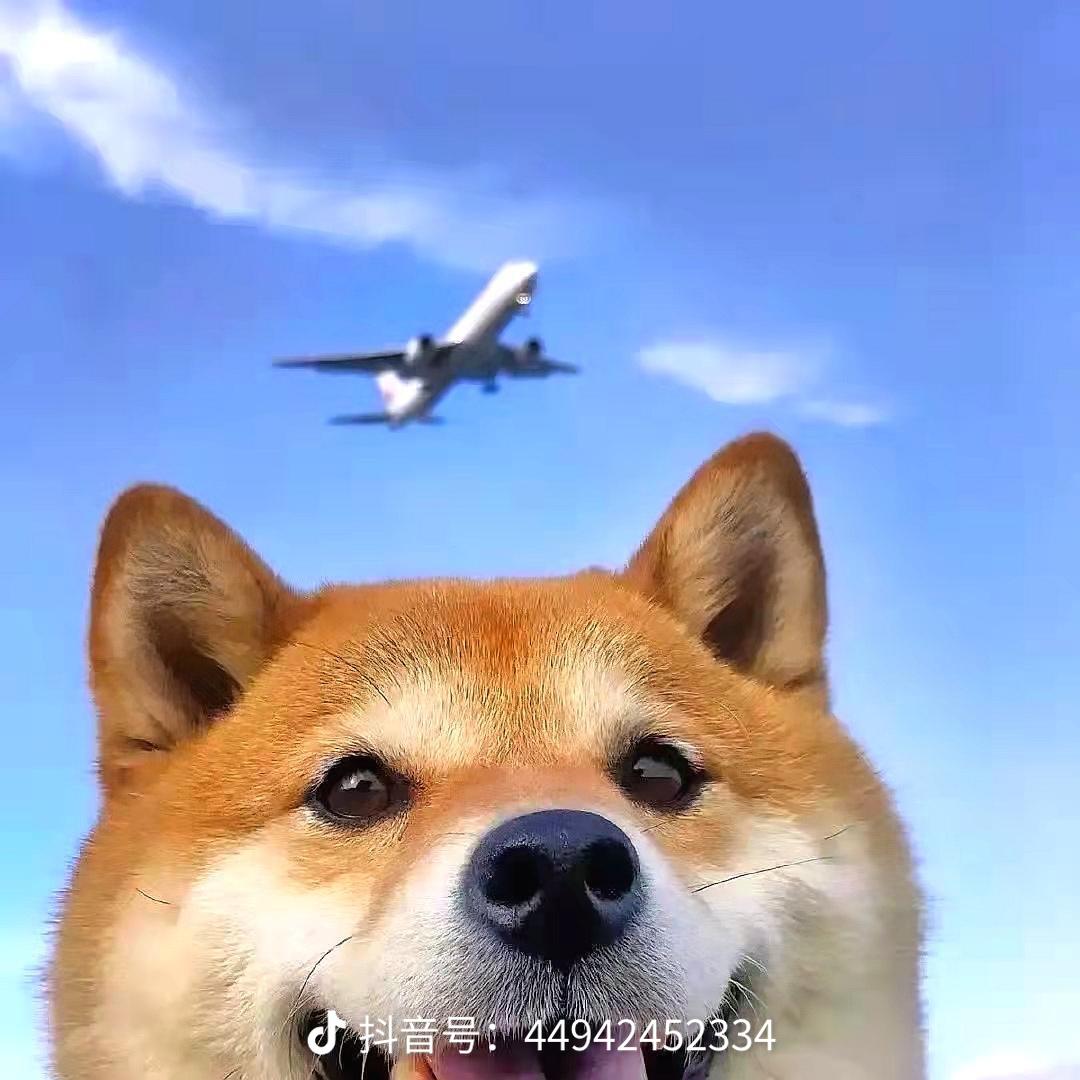 李翠蓉头像