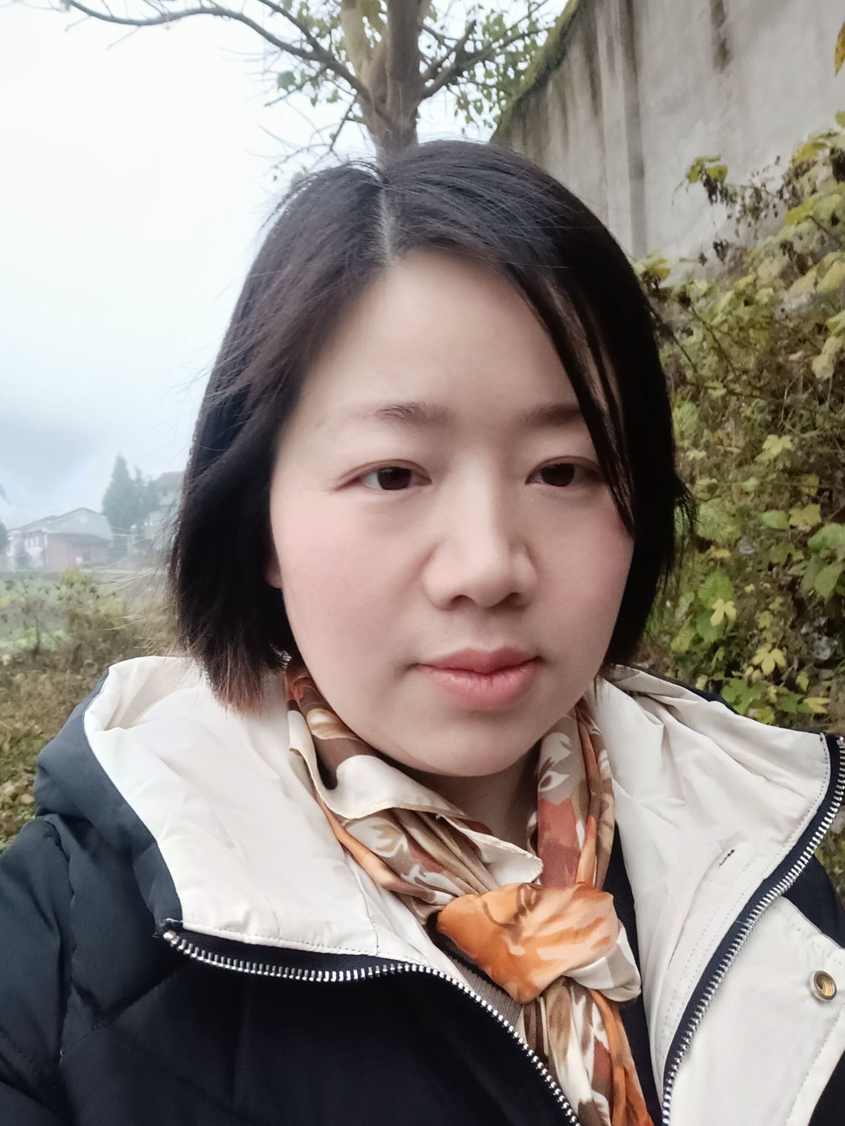 李宝玲头像