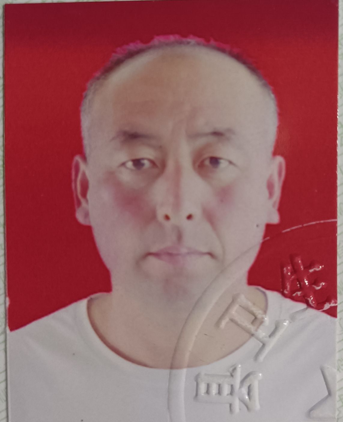 李迎秋头像