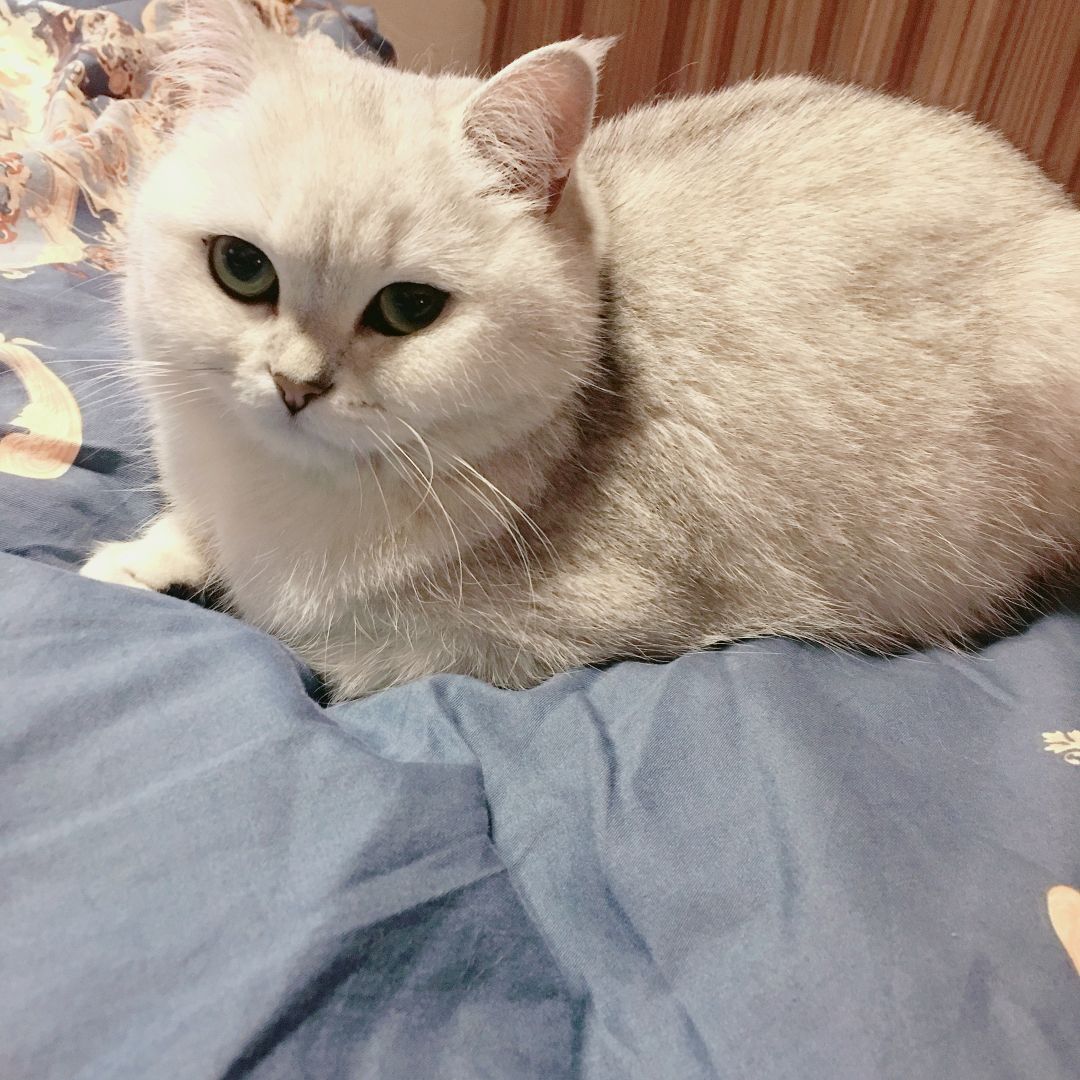 陈瑶头像