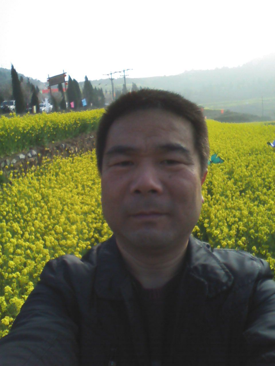 董兵兵头像