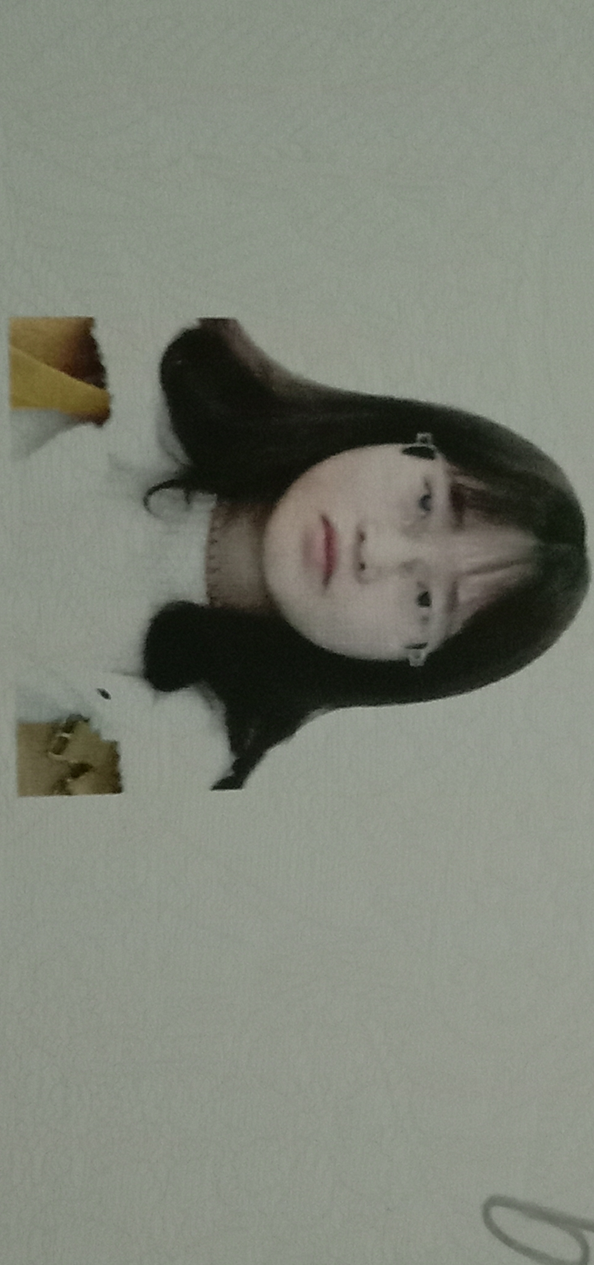 杨咏梅头像