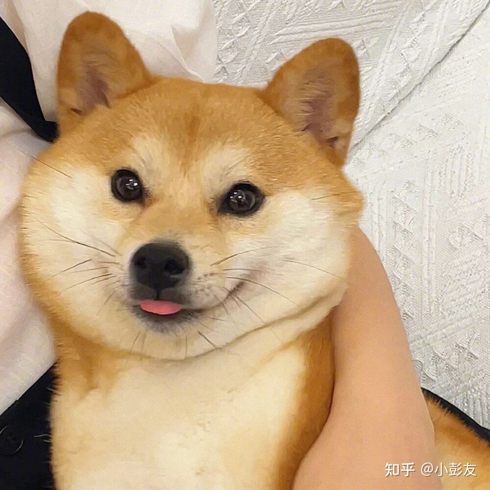 周绍金头像