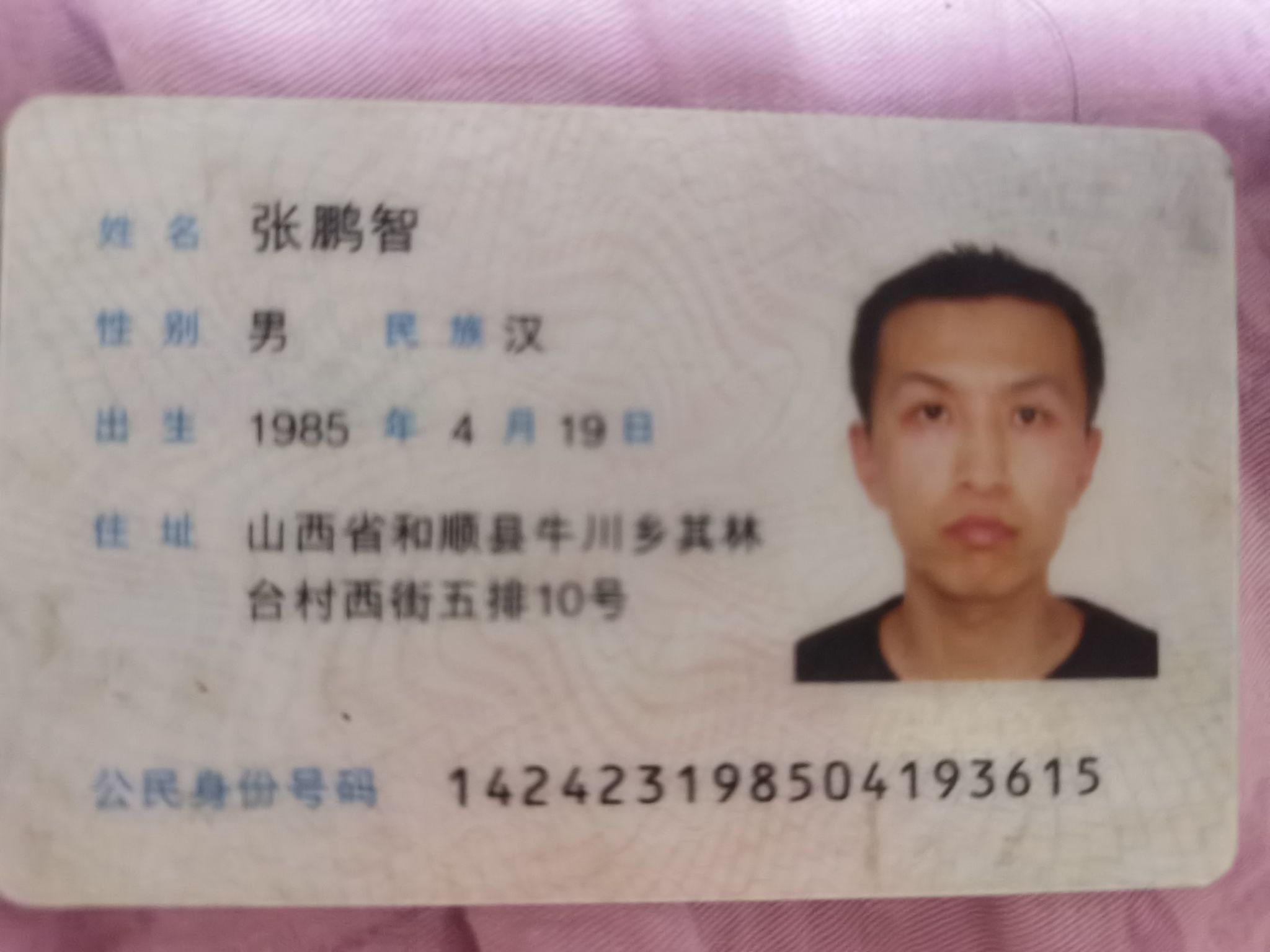 张鹏智头像