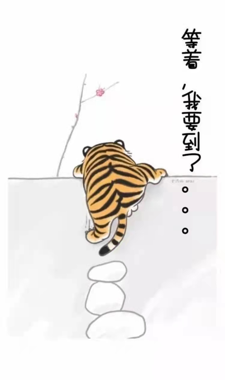 崔一尧头像