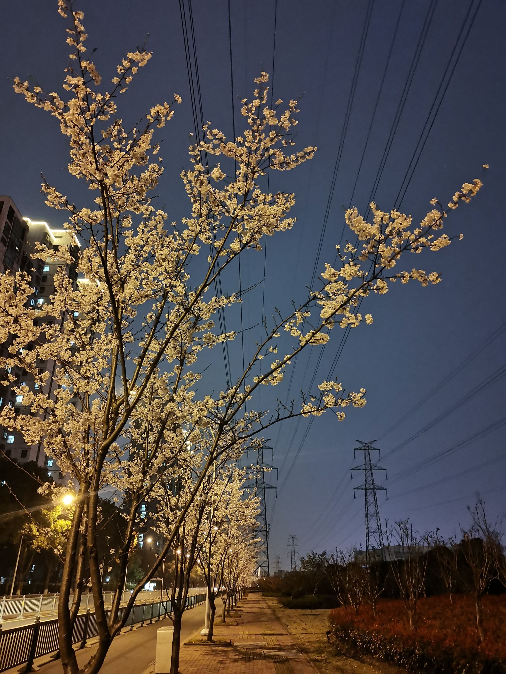 韩啸头像