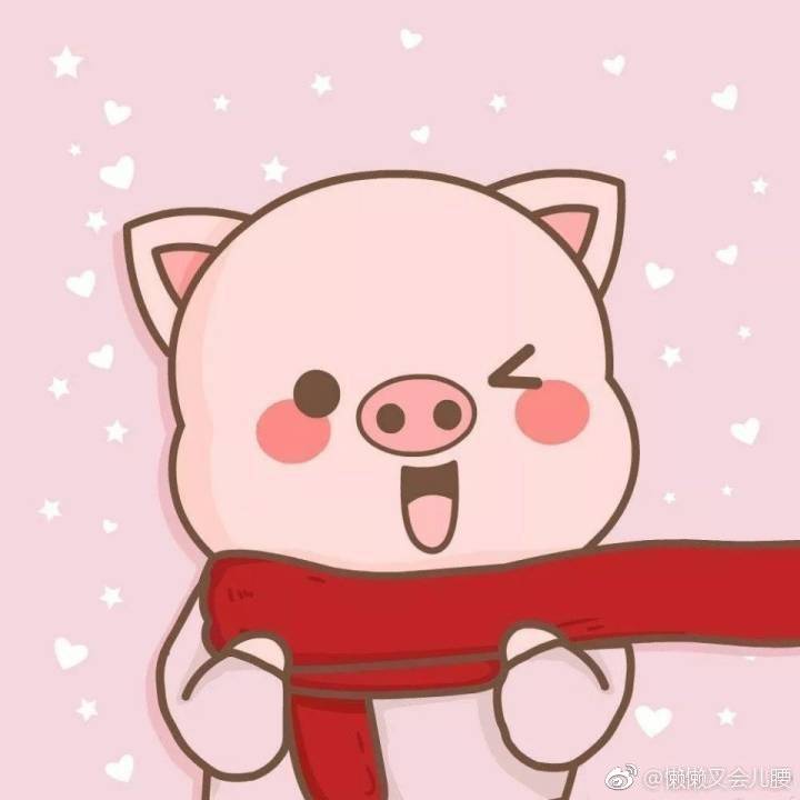 张鑫头像