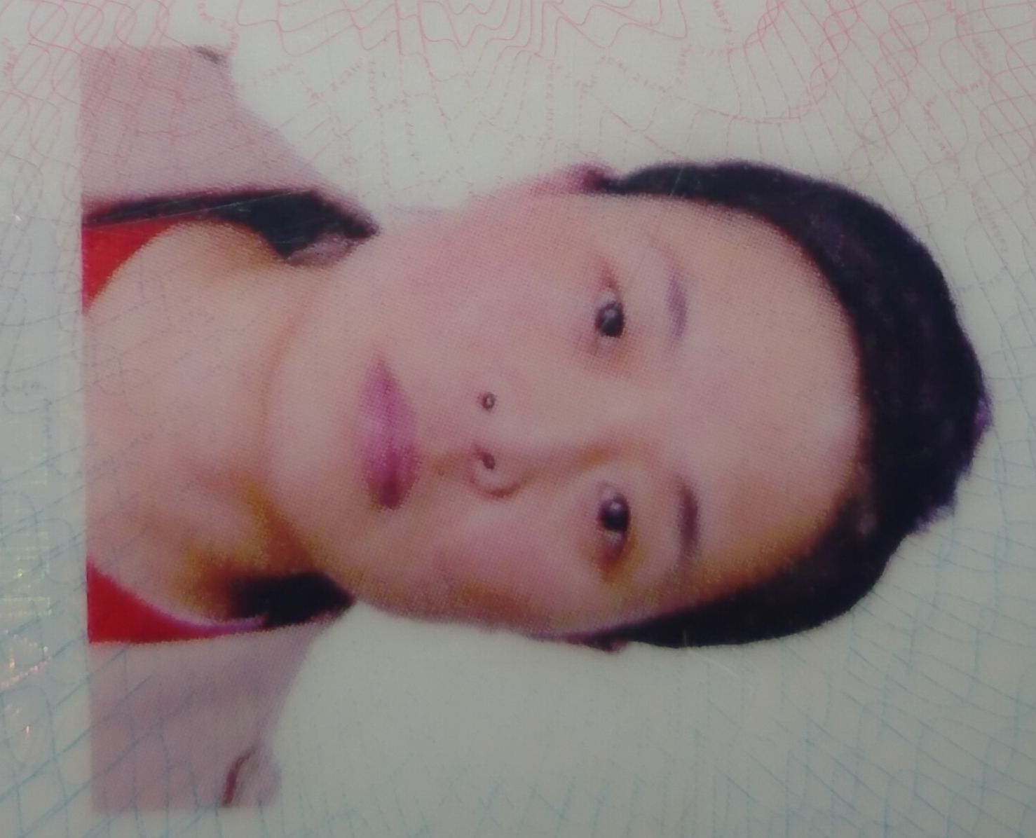 王敏头像