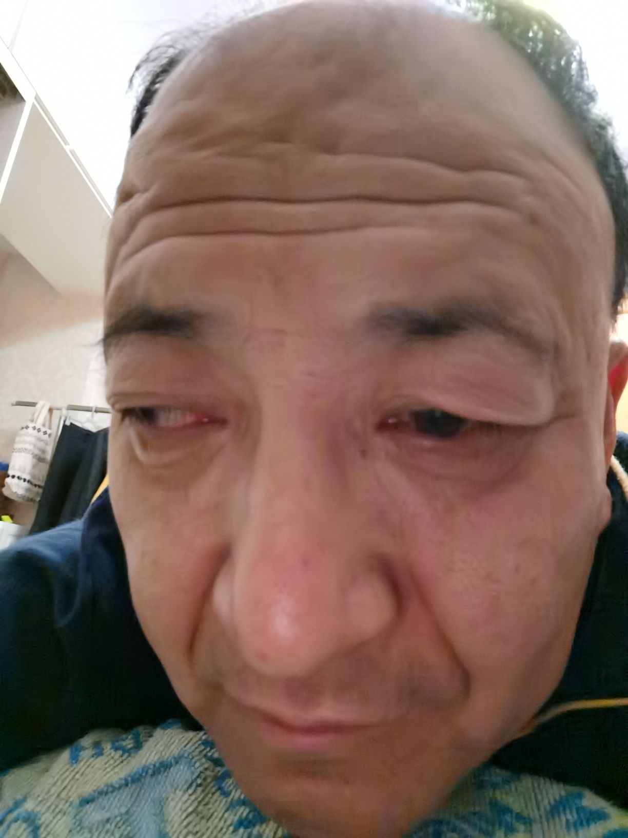 杨可心头像