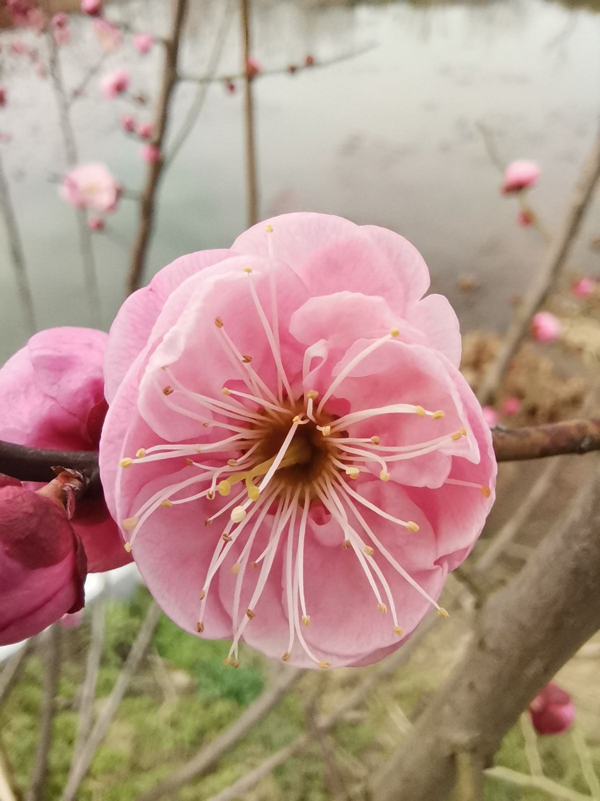 杨巍巍头像