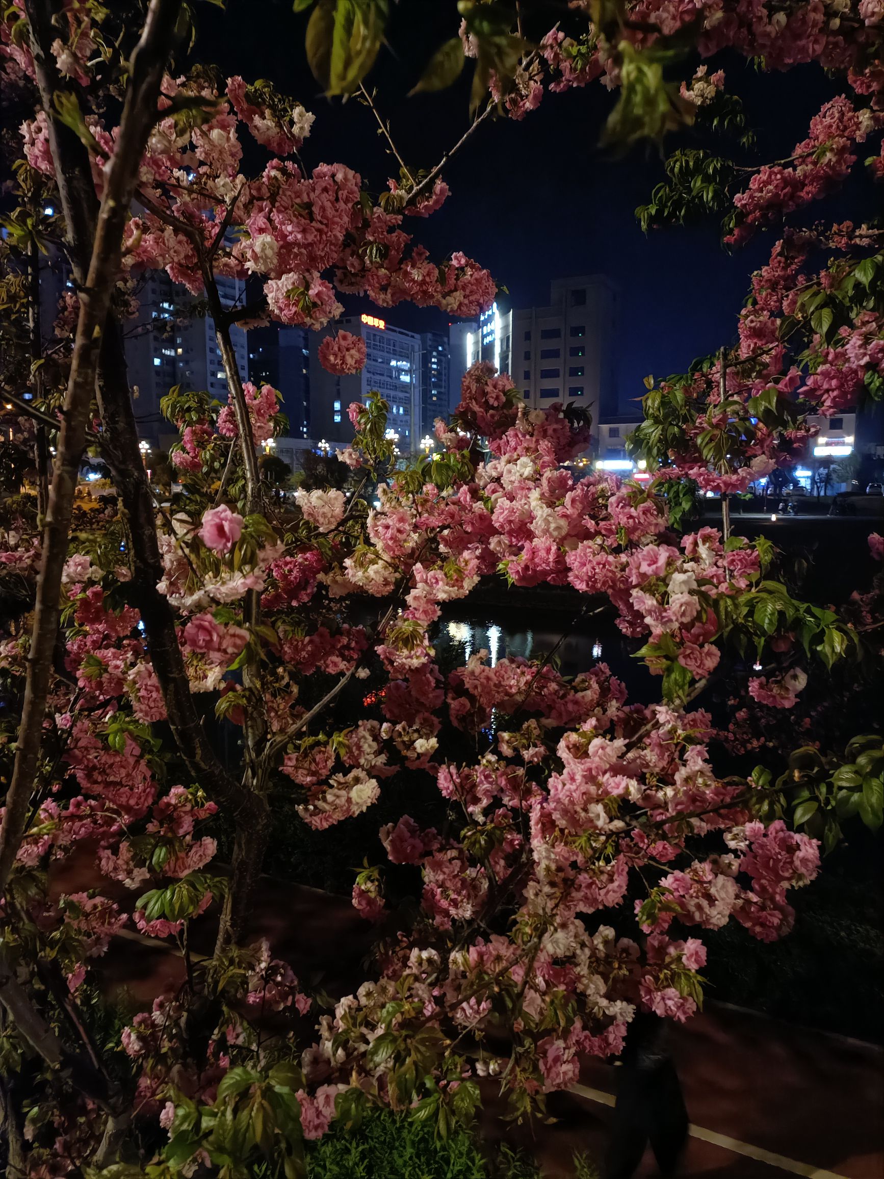 魏思琼头像