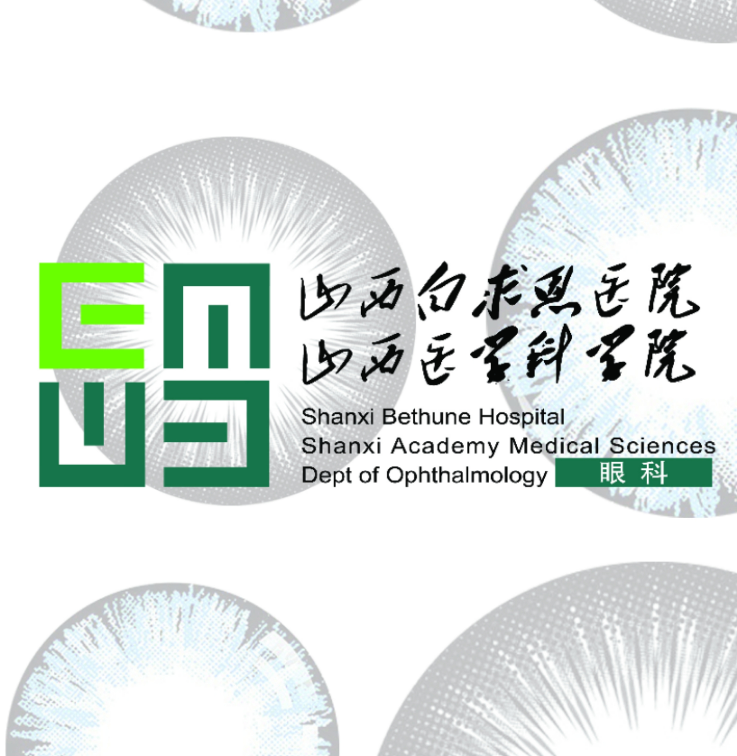 王晶晶头像