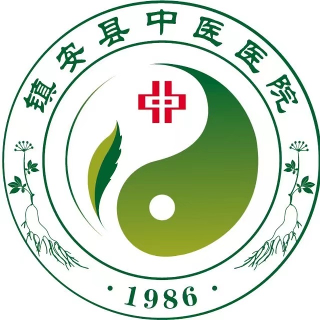 镇安县中医医院标志