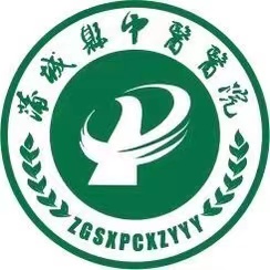 蒲城县中医医院标志