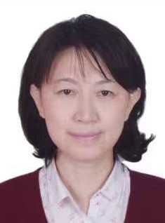高珊头像