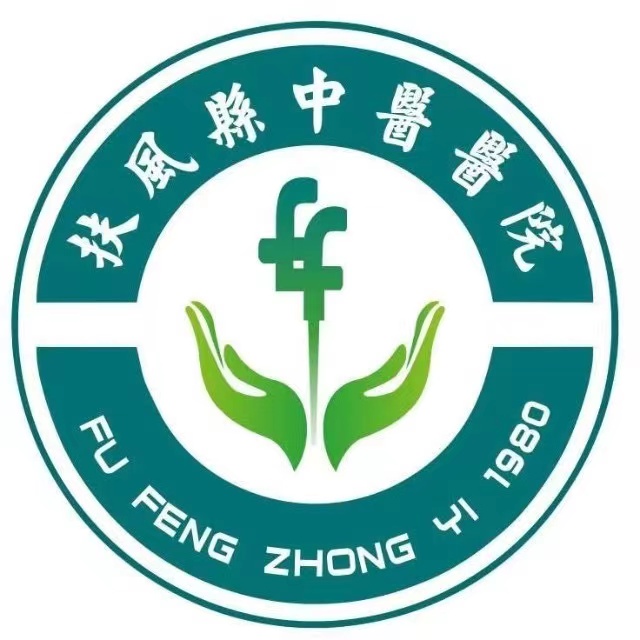 扶风县中医医院标志