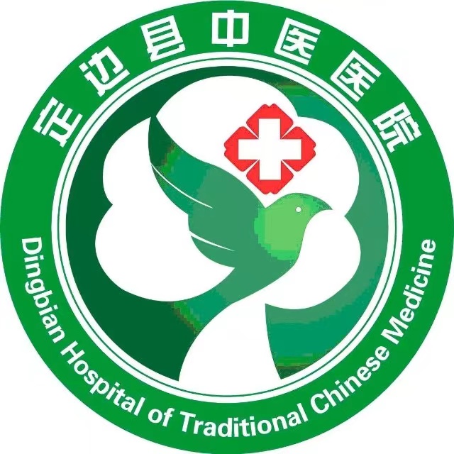 定边县中医院标志
