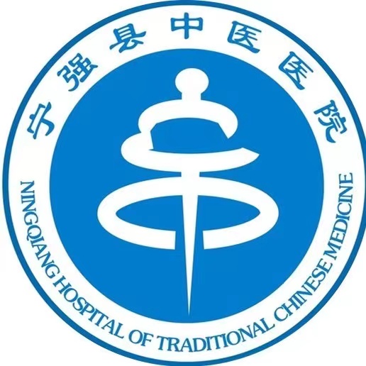 宁强县中医医院标志
