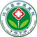 岐山县中医医院标志