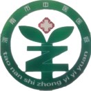洮南市中医医院标志