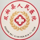 云南省楚雄州双柏县人民医院标志