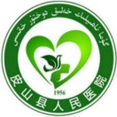新疆自治区人民医院皮山医院标志
