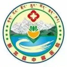 新龙县中藏医院标志